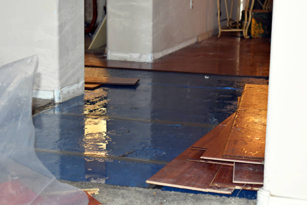 Professional Emergency Water Damage Restoration technician working in Auburn Hills, MI